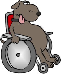 WheelChairBear